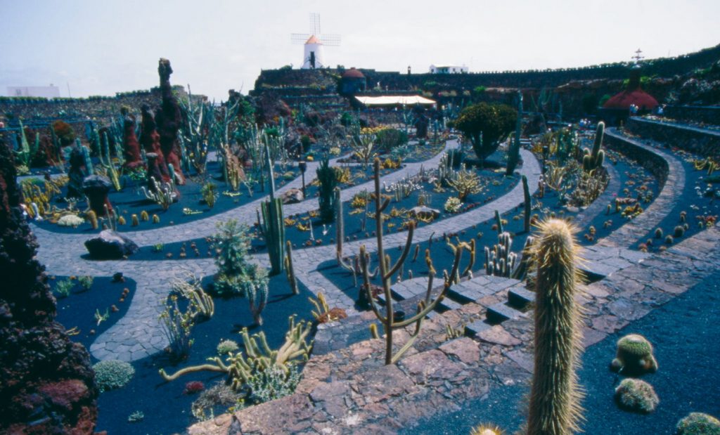 der Kaktusgarten - Jardín de cactus