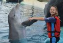 Interaktion mit Delfinen auf Lanzarote