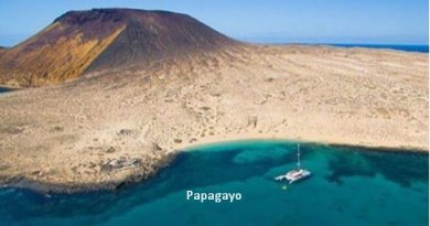Angebot für Bootsausflüge auf Lanzarote
