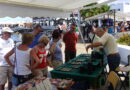 Markt Playa Blanca